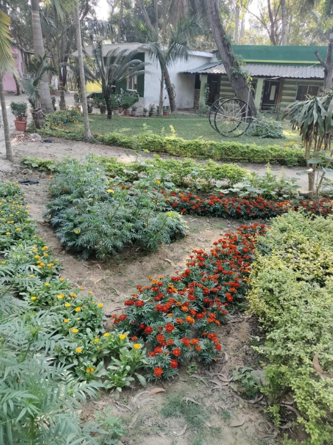Lucky Beach Resorts , Balasore Chandipur Buitenkant foto